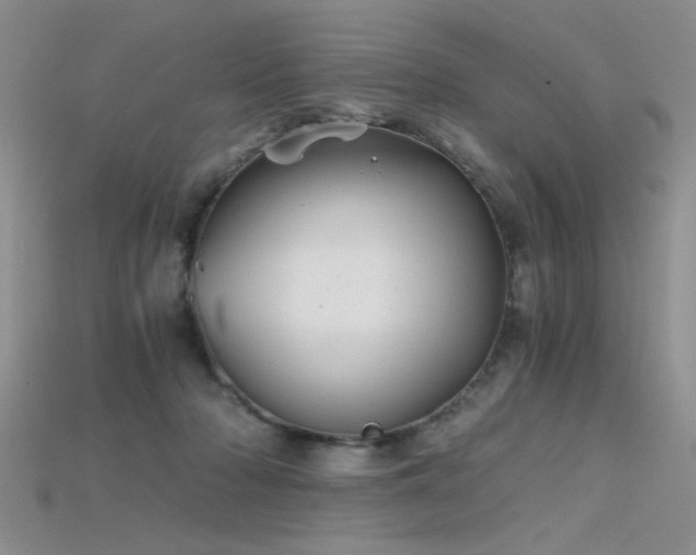 X0000115680318200911121252