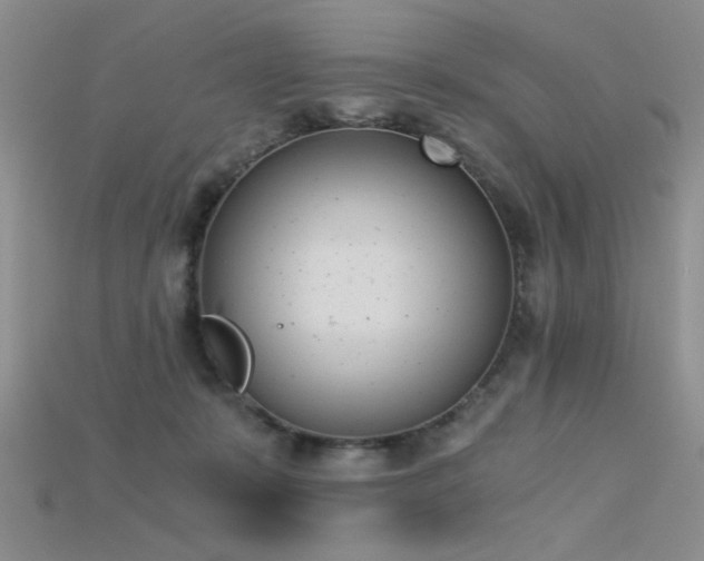 X0000115680319200911121252