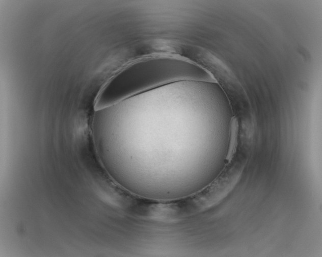 X0000115680320200911121252