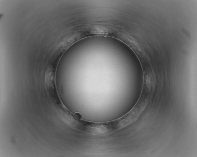 X0000115680322200911121252