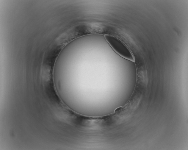 X0000115680323200911121252