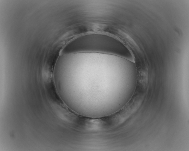 X0000115680324200911121252