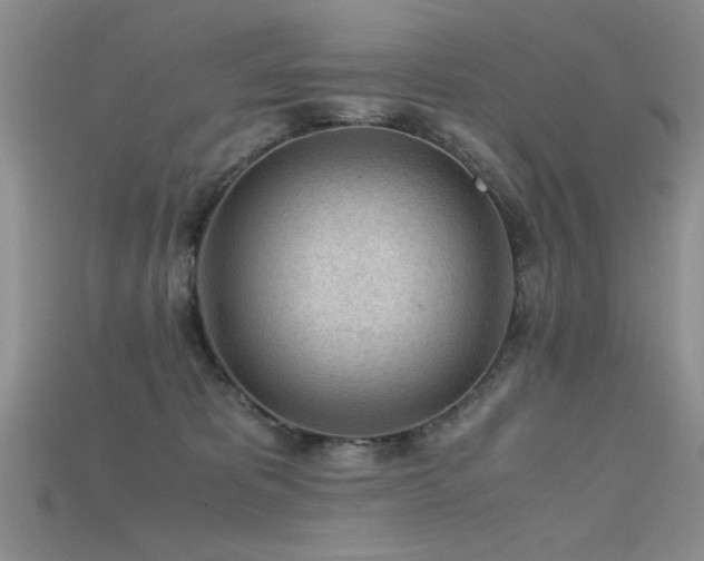 X0000115680325200911121252