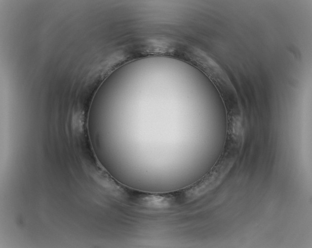 X0000115680326200911121252