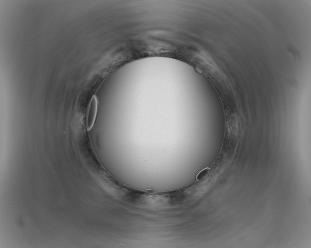 X0000115680327200911121252