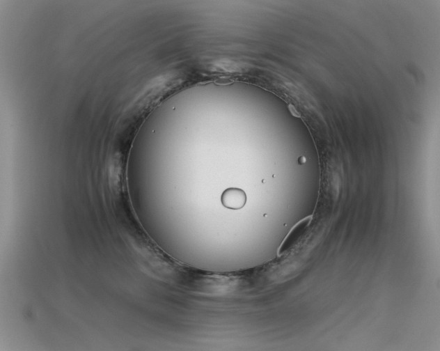 X0000115680328200911121252