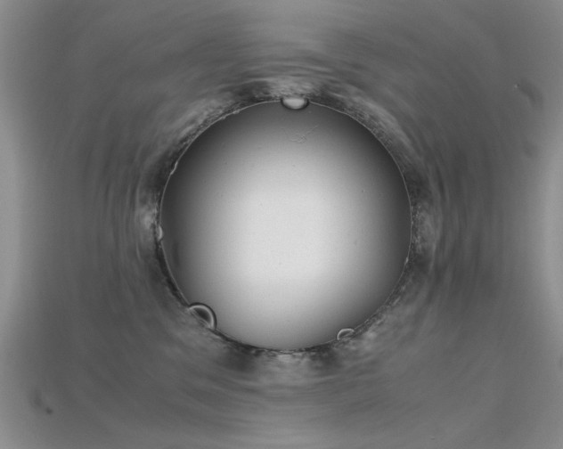 X0000115680329200911121251