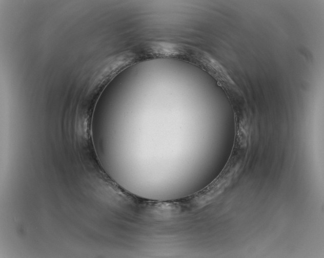 X0000115680330200911121251