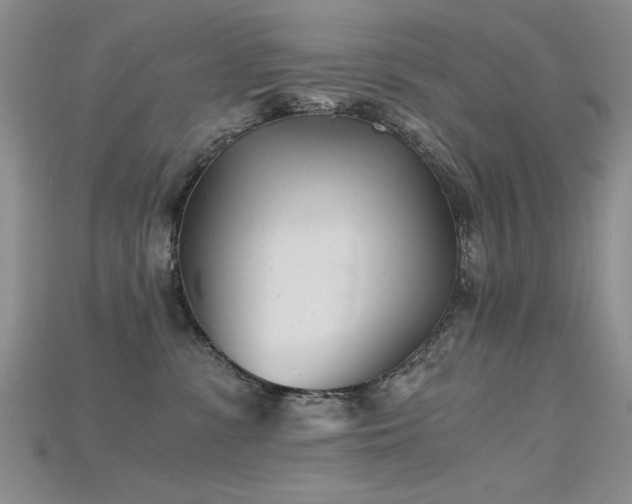 X0000115680331200911121251