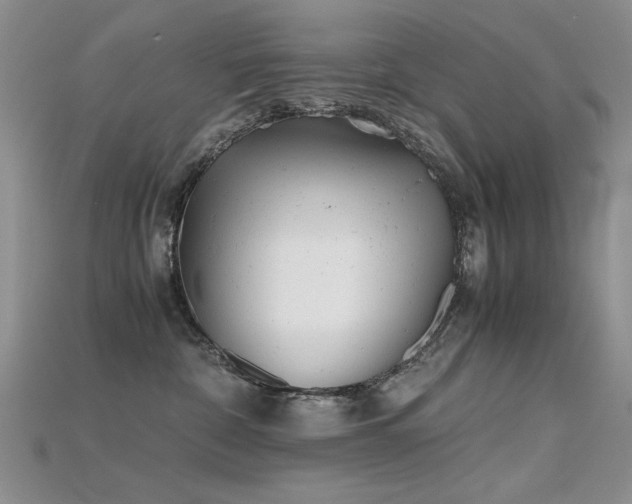 X0000115680332200911121251