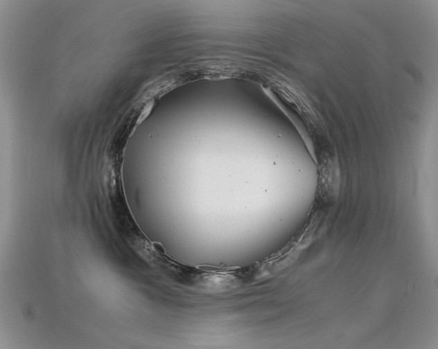 X0000115680333200911121251