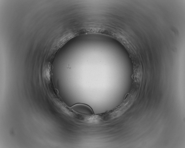 X0000115680334200911121251