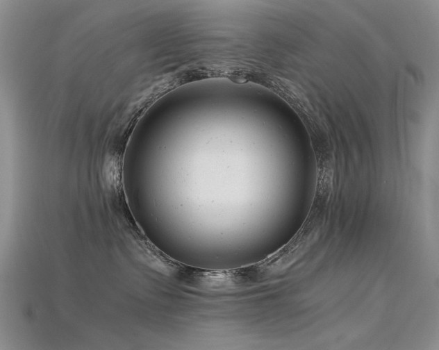 X0000115680335200911121251