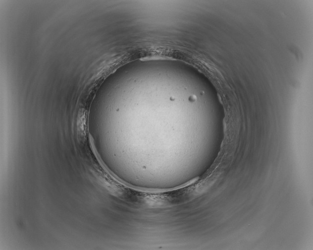 X0000115680336200911121251