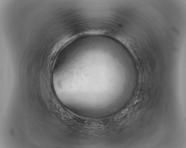 X0000115680337200911121251