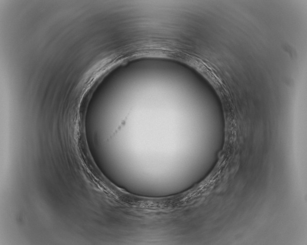 X0000115680338200911121251