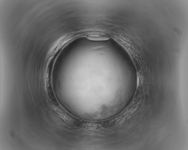 X0000115680339200911121251