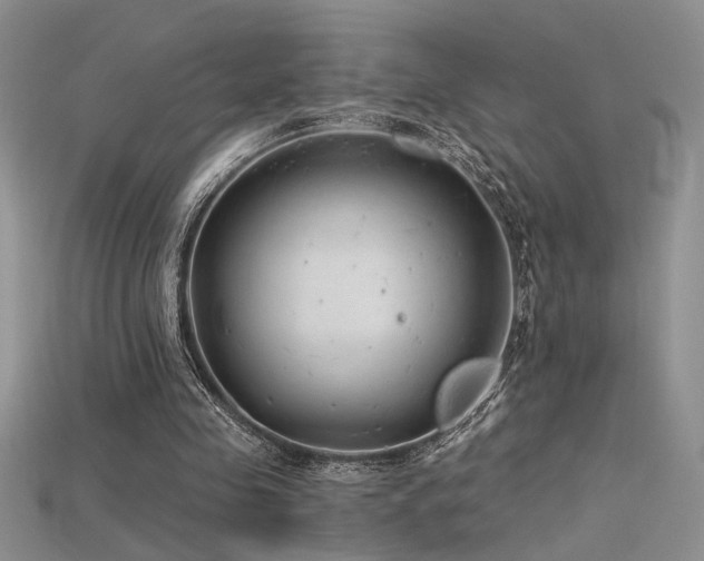 X0000115680341200911121251