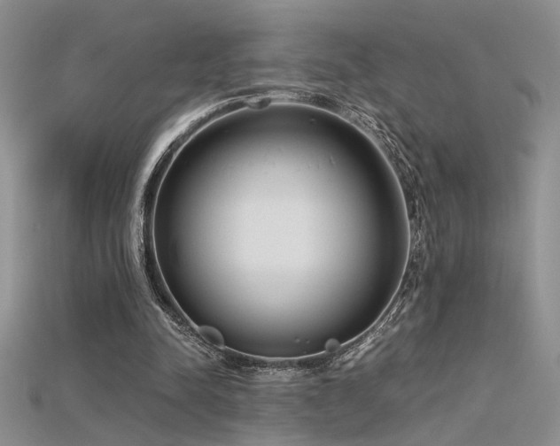 X0000115680342200911121251