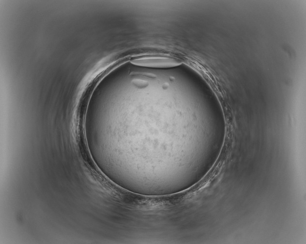 X0000115680343200911121251