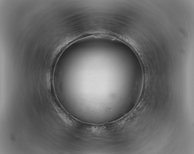 X0000115680345200911121251