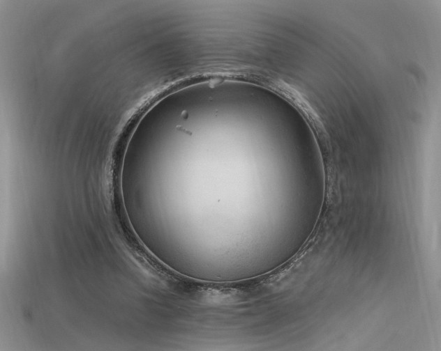 X0000115680346200911121251