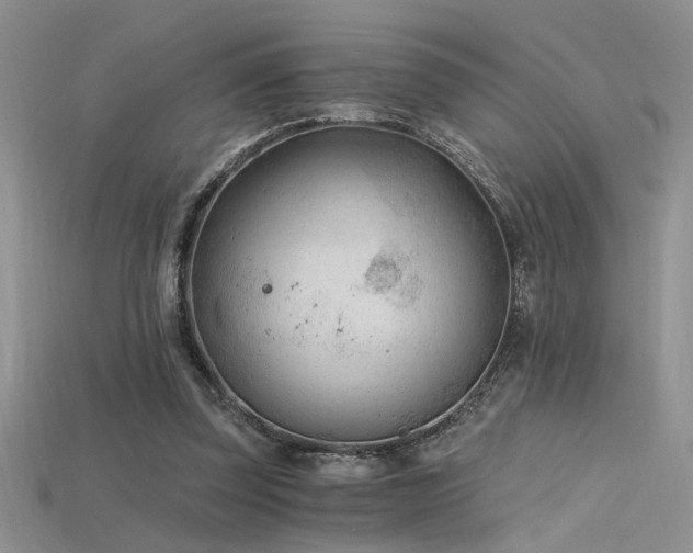 X0000115680347200911121251