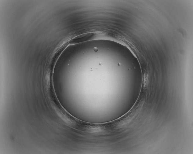 X0000115680349200911121251