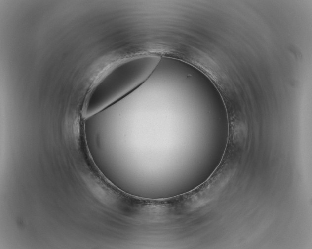 X0000115680350200911121251