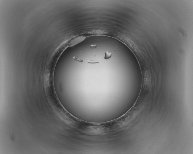 X0000115680351200911121251