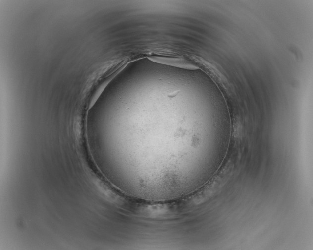 X0000115680353200911121251