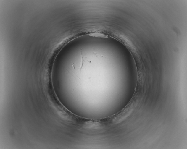 X0000115680354200911121251