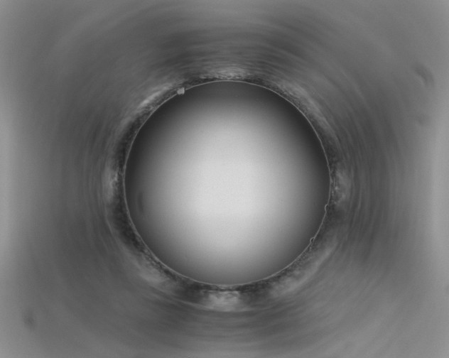 X0000115680355200911121251