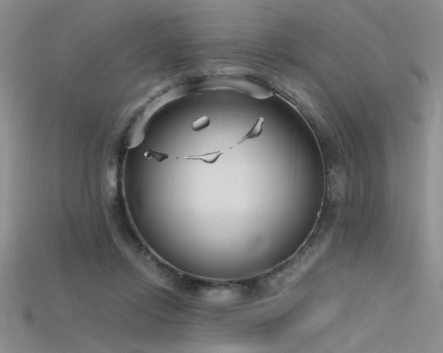 X0000115680358200911121251