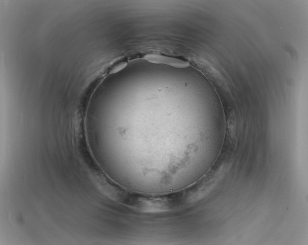 X0000115680359200911121251