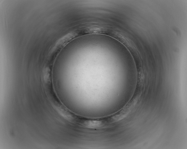 X0000115680361200911121251