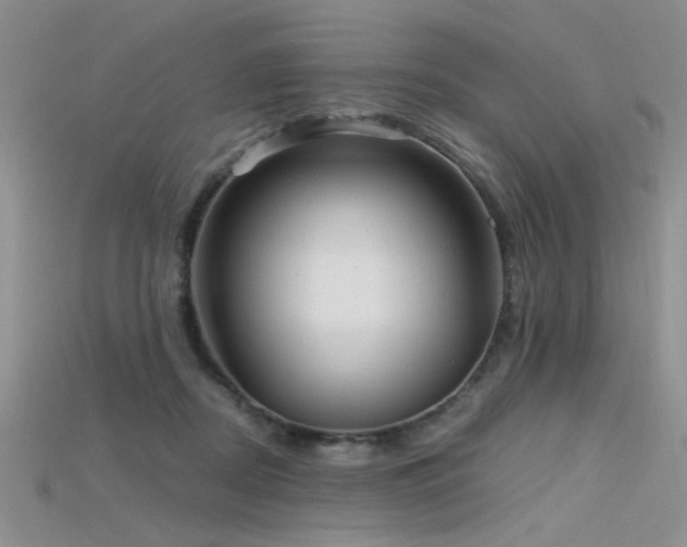 X0000115680362200911121251