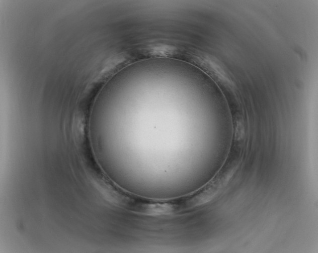 X0000115680363200911121251