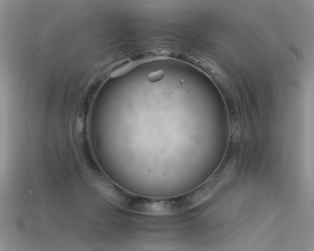 X0000115680365200911121251