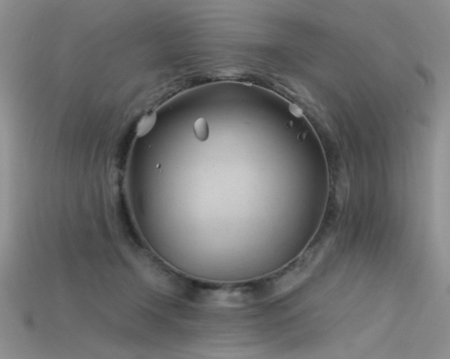 X0000115680366200911121251