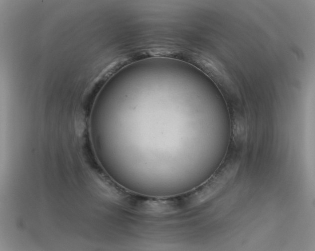 X0000115680367200911121251