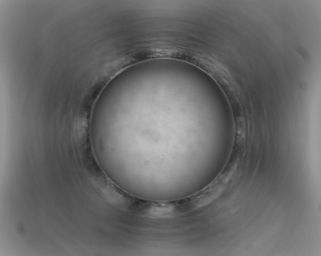 X0000115680369200911121251