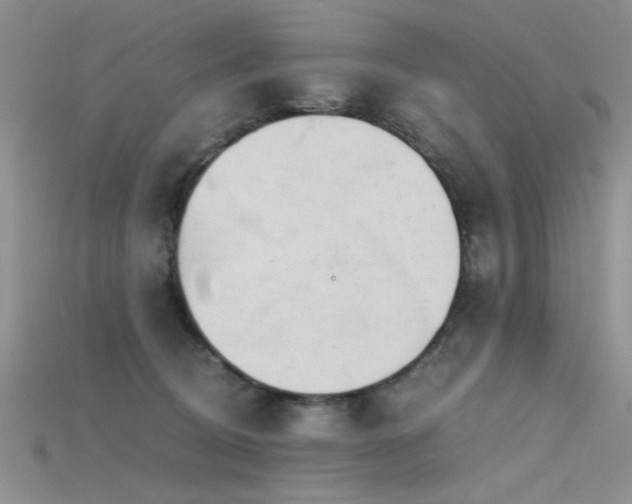 X0000115680370200911121251