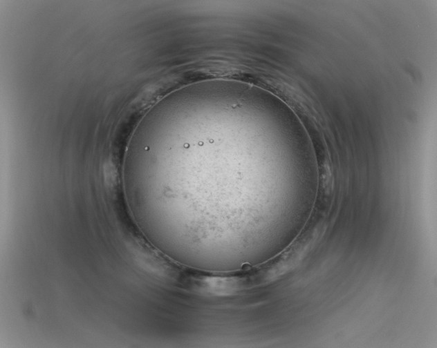 X0000115680371200911121251