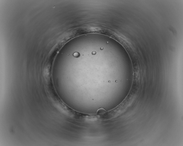 X0000115680373200911121251