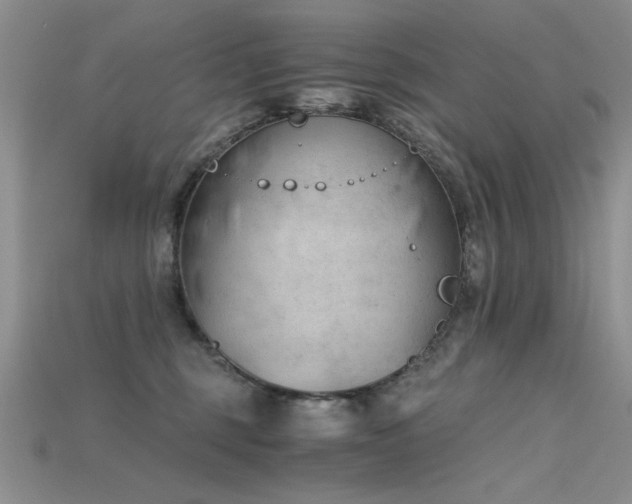 X0000115680375200911121251