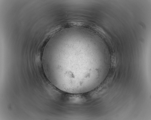 X0000115680377200911121251