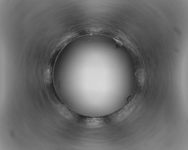 X0000115680378200911121251