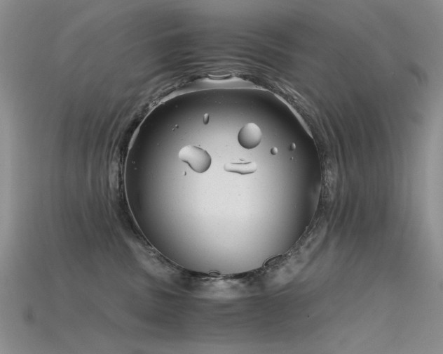 X0000115680379200911121251