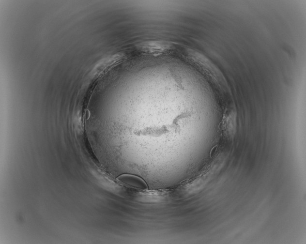 X0000115680381200911121251